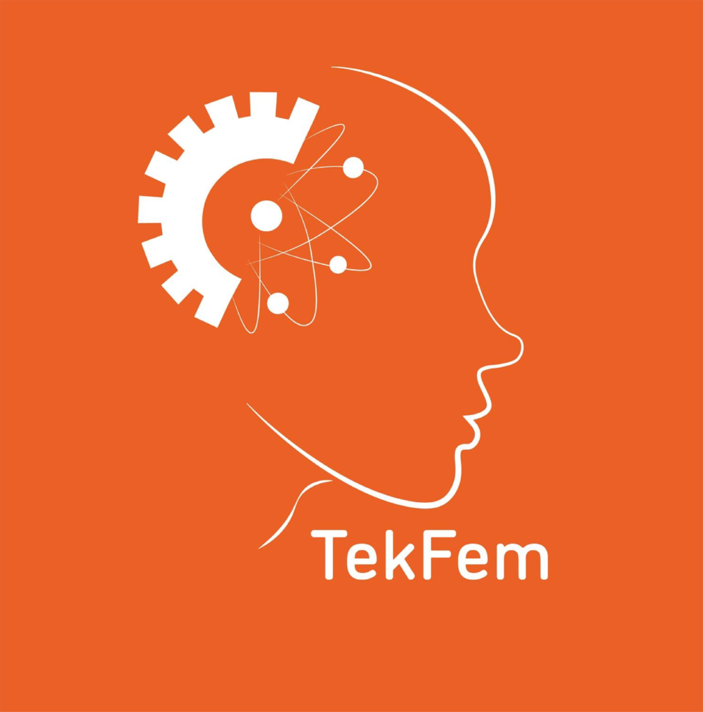 tekfem logo